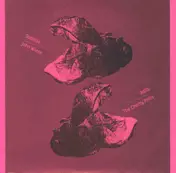 subtitle - Subtitle / John Wiese / Adlib / The Cherry Point‎