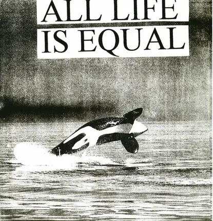 Subway Arts / No More - All Life Is Equal