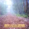 LP - SUBARACHNOID SPACE - A NEW AND EXACT MAP