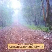 SubArachnoid Space - A NEW AND EXACT MAP