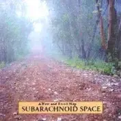 SubArachnoid Space