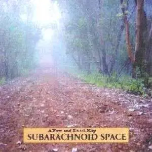 SUBARACHNOID SPACE - A NEW AND EXACT MAP