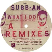 Subb An - What I Do ( Tom Trago/ Burnski Rmxs )