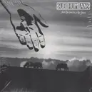 LP - Subhumans - From The Cradle To The Grave - Black Vinyl, Gatefold