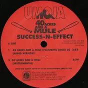 Success - N - Effect - 40 Acres And A Mule