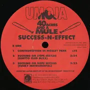12'' - Success - N - Effect - 40 Acres And A Mule