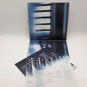 Double LP - Such A Surge - Der Surge Effekt