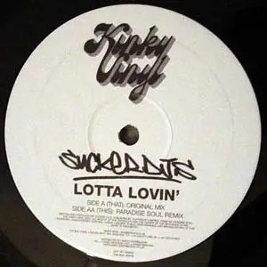 Sucker DJ's - Lotta Lovin'