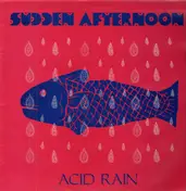 Sudden Afternoon - Acid Rain