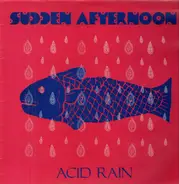 Sudden Afternoon - Acid Rain