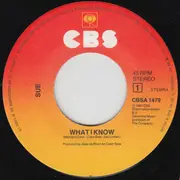7inch Vinyl Single - Sue Chaloner - What I Know