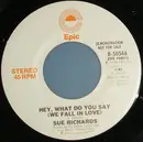 7inch Vinyl Single - Sue Richards - Hey, What Do You Say (We Fall In Love)