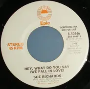 Sue Richards - Hey, What Do You Say (We Fall In Love)