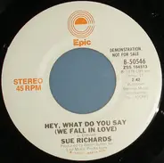 Sue Richards - Hey, What Do You Say (We Fall In Love)