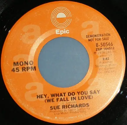 Sue Richards - Hey, What Do You Say (We Fall In Love)