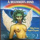LP - Sufjan Stevens & Angelo De Augustine - A Beginner's Mind