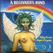 Sufjan Stevens - A Beginner's Mind