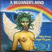 LP - Sufjan Stevens & Angelo De Augustine - A Beginner's Mind