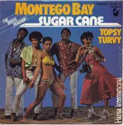 Sugar Cane - Montego Bay