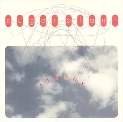 Sugar Plant - Cloudy