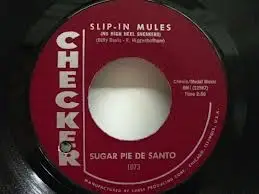 Sugar Pie DeSanto - Slip-In Mules (No High Heel Sneakers) / Mr. & Mrs.