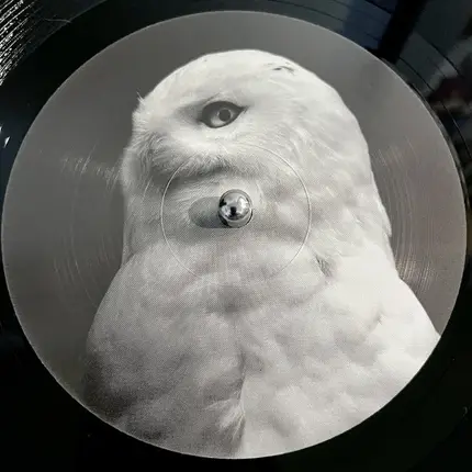 Sugiurumn - Bit In Beatz 01