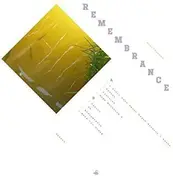 Suicideyear - Remembrance