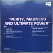 12inch Vinyl Single - Sultans Of Ping F.C. - Teenage Punks