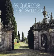 12inch Vinyl Single - Sultans Of Swing - (Make) A Little Love