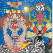Super Furry Animals - Hey venus