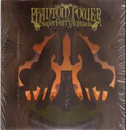 Super Furry Animals - Phantom Power