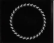 CD - Super Numeri - Great Aviaries