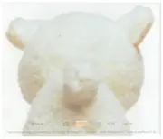 CD Single - Superflausch - Ficken