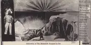 CD - Supreme Dicks - The Unexamined Life