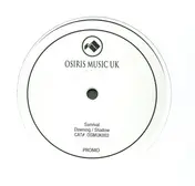 Survival - Dawning / Shadow