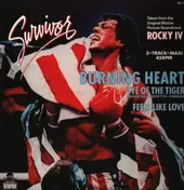 Survivor - Burning Heart