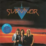 Survivor - Didn't Know It Was Love