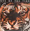 12'' - Survivor - Eye Of The Tiger