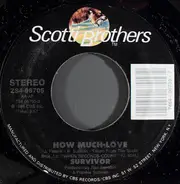 Survivor - How much love