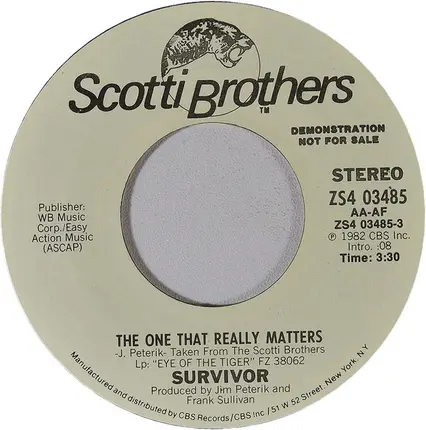 Survivor - The One That Really Matters