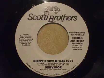 Survivor - Didn't Know It Was Love