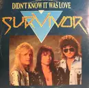 12inch Vinyl Single - Survivor - Didn't Know It Was Love