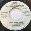 7inch Vinyl Single - Survivor - How Much Love