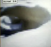 Sureal - 2:9
