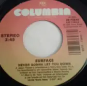 7inch Vinyl Single - Surface - Never Gonna Let You Down