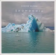 CD - Surfer Blood - Snowdonia