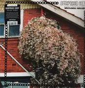 LP - Surprise Chef - Daylight Savings