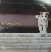 7inch Vinyl Single - Susumu Sugawara - 琥珀色の日々