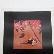 Double LP - Susumu Yokota - The Boy And The Tree - 1st UK Press on Leaf