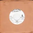 7inch Vinyl Single - Susan Barrett - Sunny / Ev'ry Time We Say Goodbye